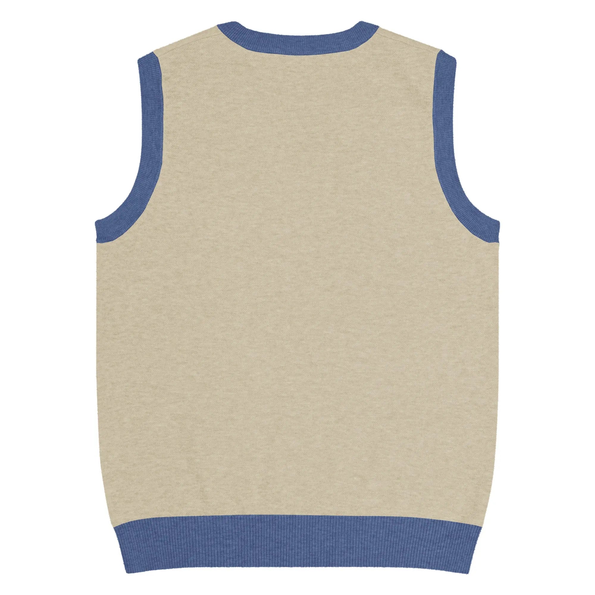 Pull sans manches beige col V bleu avec colibri et fleurs bleues